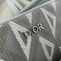 Dior Hit the Road Pet Carrier Bag