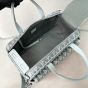 Dior Hit the Road Pet Carrier Bag