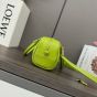 LOEWE Amazona 23 Cropped bag in nappa calfskin