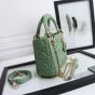 Mini Lady Dior Bag