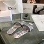 Dior Dway Slide