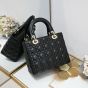 Medium Lady Dior Bag