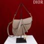 Dior Saddle Bag with Strap