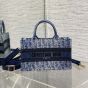 Mini Dior Book Tote