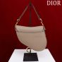 Dior Saddle Bag with Strap