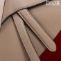 Dior Saddle Bag with Strap