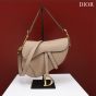 Dior Saddle Bag with Strap