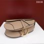 Dior Saddle Bag with Strap