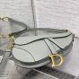 Dior Saddle Bag with Strap