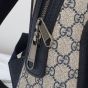 Gucci Ophidia small backpack