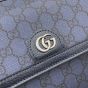Gucci Ophidia small crossbody bag