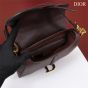 Dior Saddle Bag with Strap