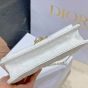 My Dior Daily Chain Pouch
