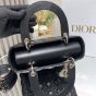 Medium Lady Dior Bag