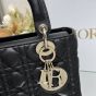 Medium Lady Dior Bag