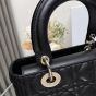 Medium Lady Dior Bag