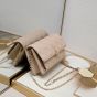My Dior Daily Chain Pouch