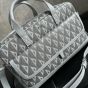Dior Hit the Road Pet Carrier Bag