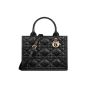 Small Dior Book Tote