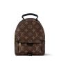 LV Palm Springs Mini
