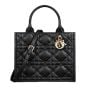 Small Dior Book Tote