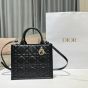 Small Dior Book Tote