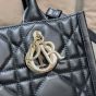 Small Dior Book Tote