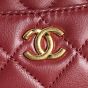 CHANEL Mini Camera Case