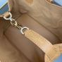 Medium Dior Toujours Bag
