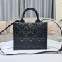 Small Dior Book Tote