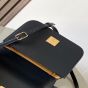 LOEWE Small Goya bag in silk calfskin