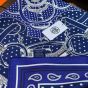 Hermès Eperon d'Or bandana 55