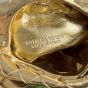 Bottega Veneta Mini Hop