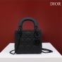 Mini Lady Dior Bag