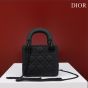 Mini Lady Dior Bag