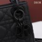 Mini Lady Dior Bag