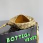 Bottega Veneta Mini Hop