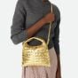Bottega Veneta Mini Hop