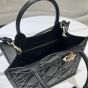 Small Dior Book Tote