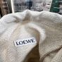 LOEWE Anagram cut-out pocket in classic calfskin and canvas