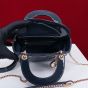 Mini Lady Dior Bag