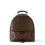LV Palm Springs MM