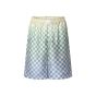 LV Damier Gradient Printed Silk Shorts