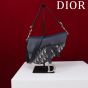 Dior Saddle Bag with Strap