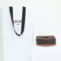 Celine MINI BESACE IN TRIOMPHE CANVAS AND CALFSKIN