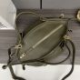 LOEWE Small Paseo bag in shiny nappa calfskin