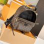 LV Palm Springs MM