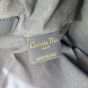 Medium Dior Toujours Bag