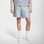 LV Damier Gradient Printed Silk Shorts