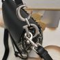 Dior Saddle Bag with Strap